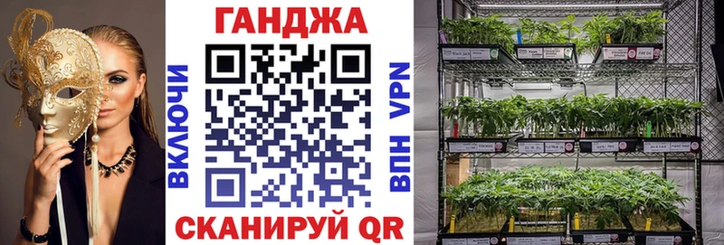 KRAKEN как зайти  Балтийск  Каннабис план 
